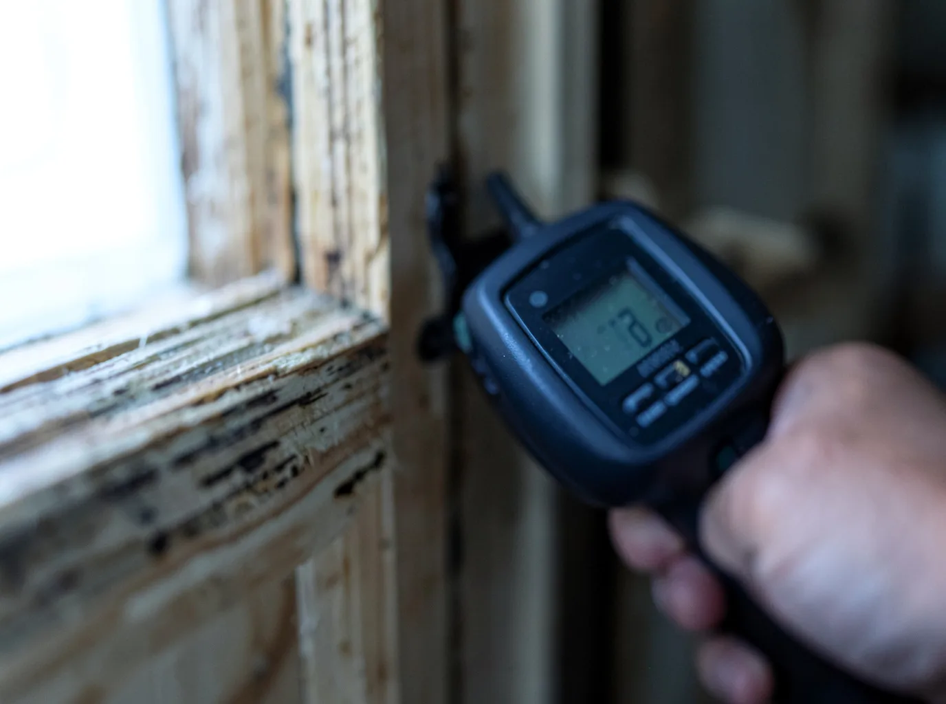 Commercial Water Damage Restoration in Dennison, MN